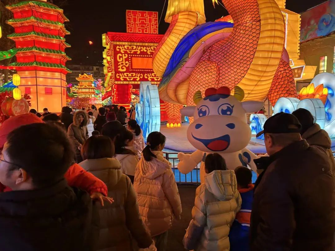 央視直播鄭州龍年燈會(huì)迎新春，花花牛品牌上大分