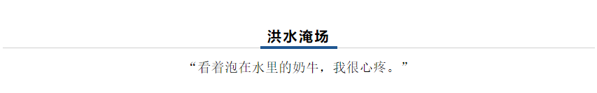 【乳報·聚焦】“豫”難而上的中原牛人“太中了”！