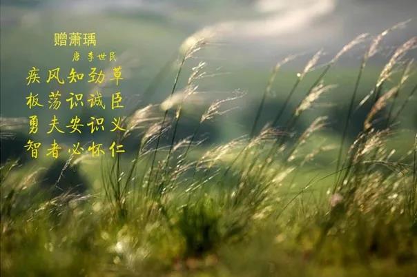 花花牛 | 疾風(fēng)來(lái)臨，你是不是勁草？