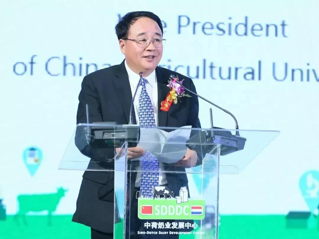 SDDDC走進(jìn)河南，看看花花牛的國際范兒！