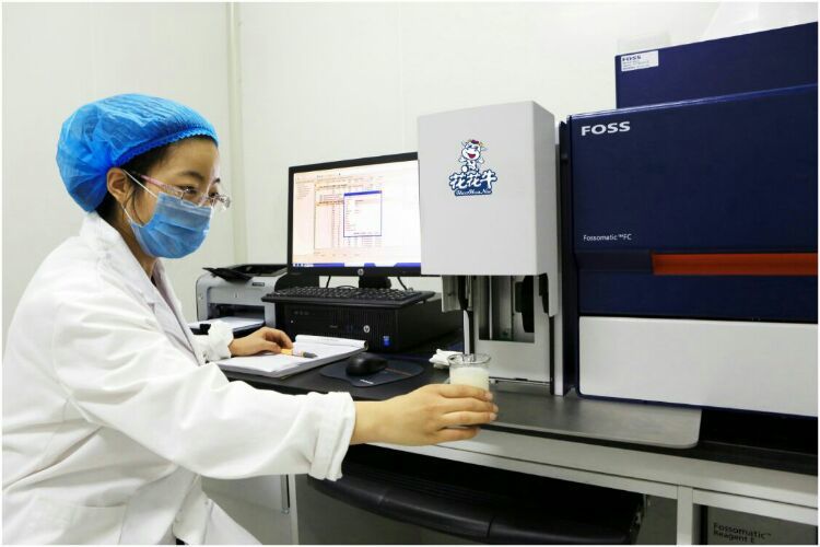 花花牛：務實、創(chuàng)新領潮市場 大企業(yè)體現(xiàn)大擔當